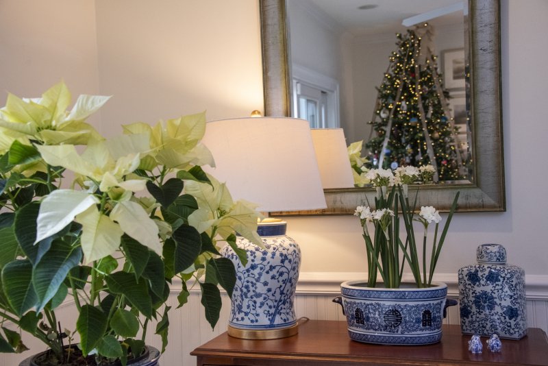 Inside Erik Hein and Matt Rogers' farmhouse on Willow Creek Road, a peaceful palette of white and blue sets the stage for seasonal plants and a Christmas tree. DENY HOWETH PHOTOS
